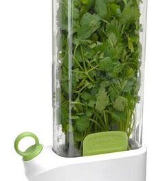 Store Fresh Herbs With Prepara Herb Savor