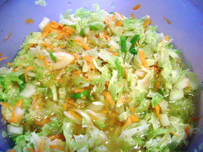 Vinegar Cole Slaw