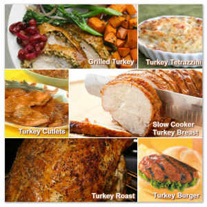 Turkey Thanksgiving Recipes