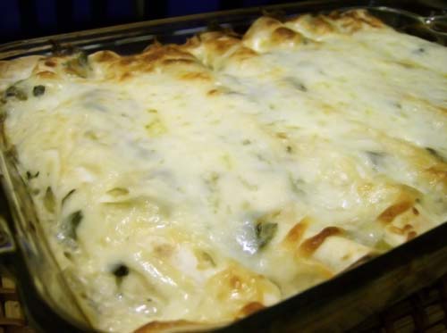 Green Chile Chicken Enchiladas Recipe