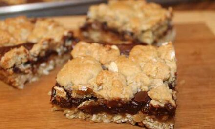 Chocolate Revel Bars